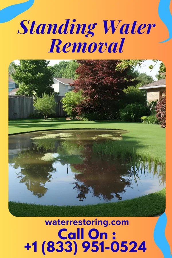 Standing Water Removal in Sunrise Beach, MO